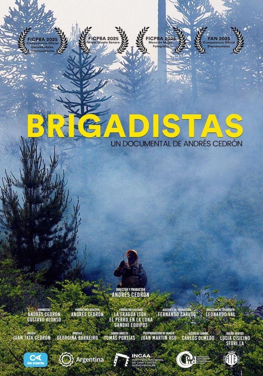 Brigadistas